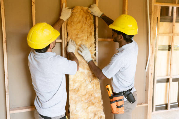 Best Attic Insulation Installation  in Lenwood, CA