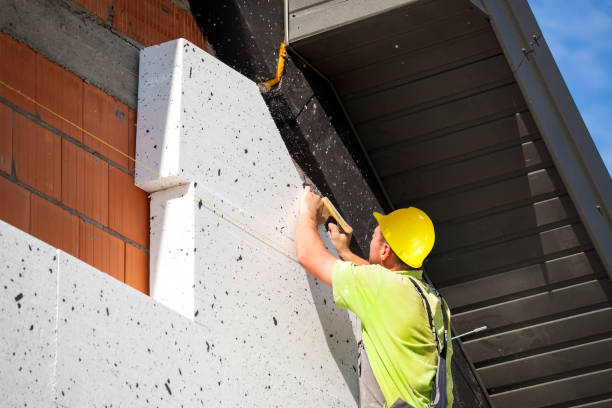 Insulation Air Sealing in Lenwood, CA